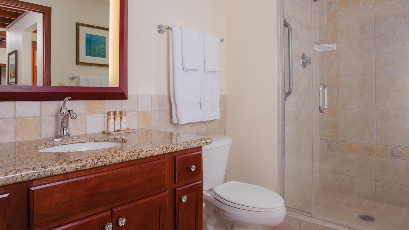 Kona Master Bathroom
